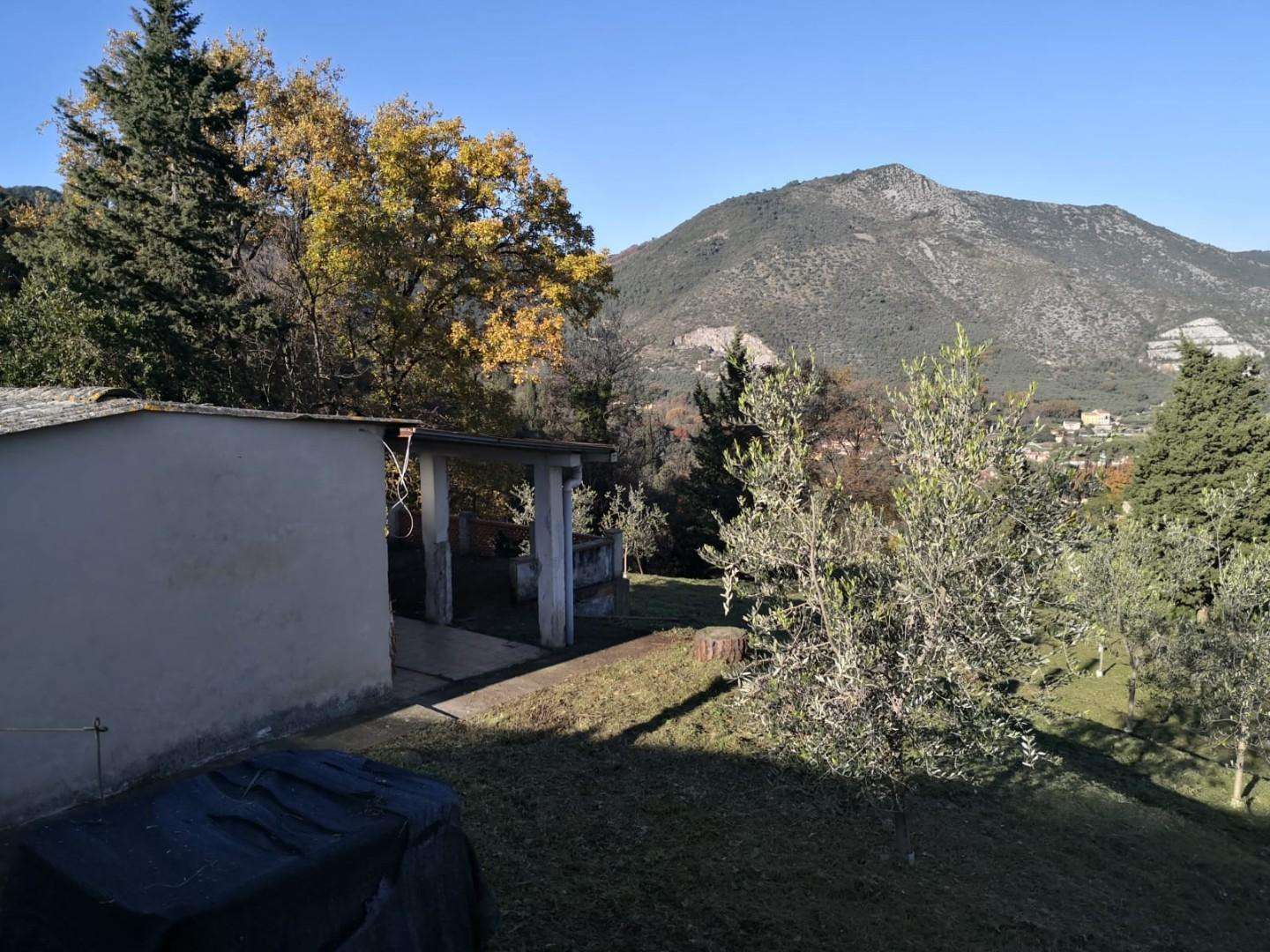  - foto 12
