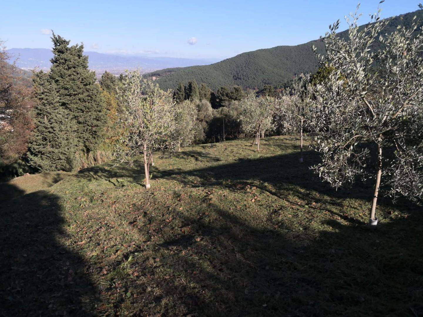  - foto 14