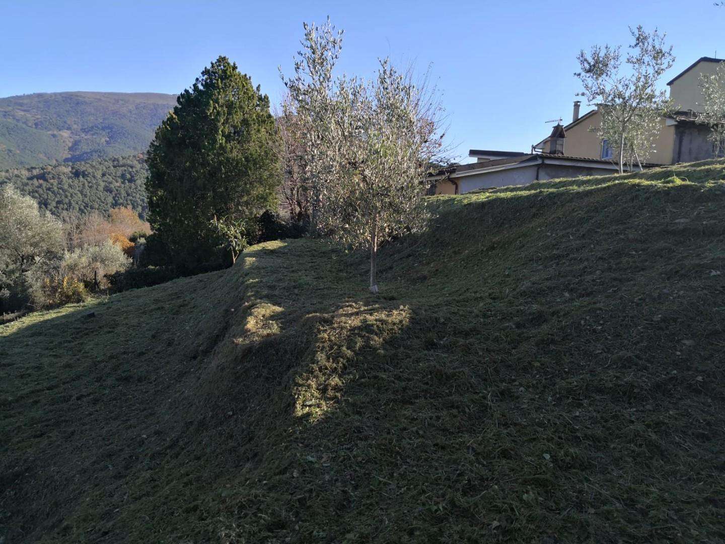  - foto 15