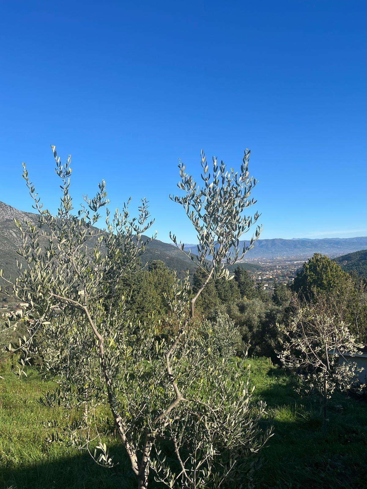  - foto 4