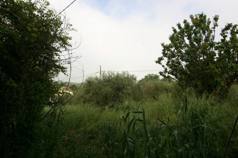  - foto 8