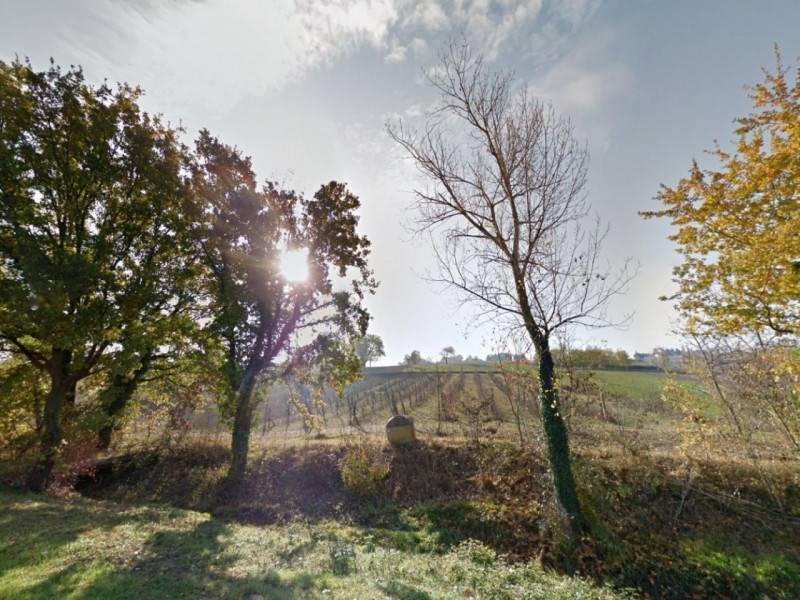 Altro, Bevagna