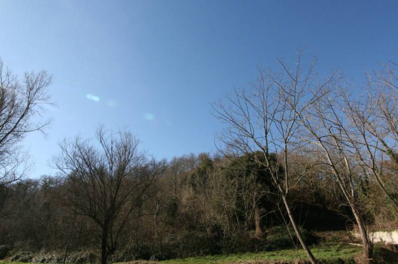  - foto 4