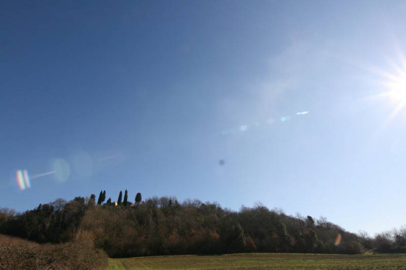 - foto 5