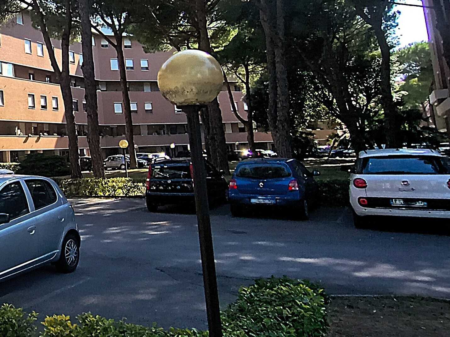  - foto 3