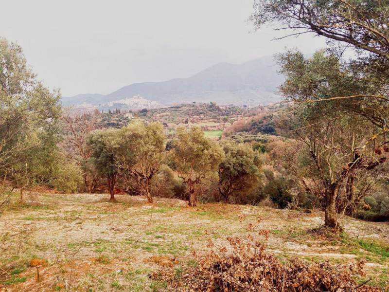 Altro Palombara Sabina, Palombara Sabina