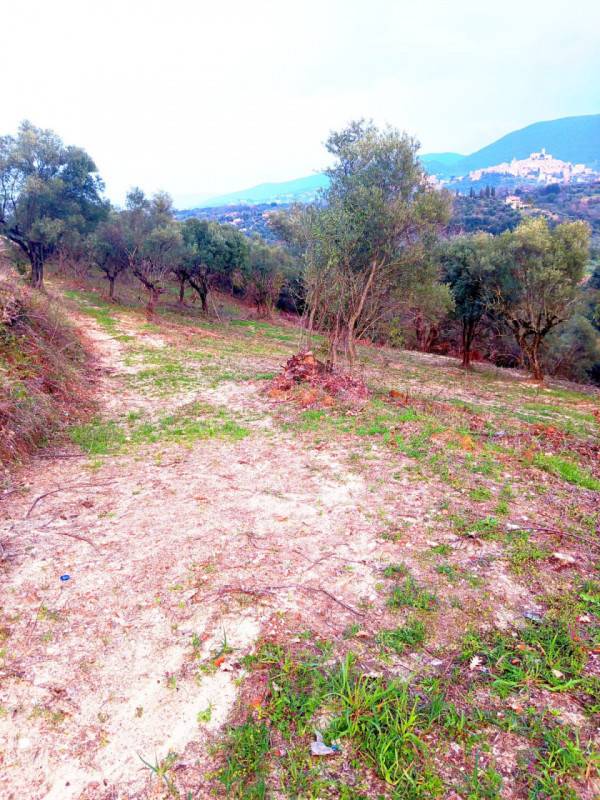  - foto 3