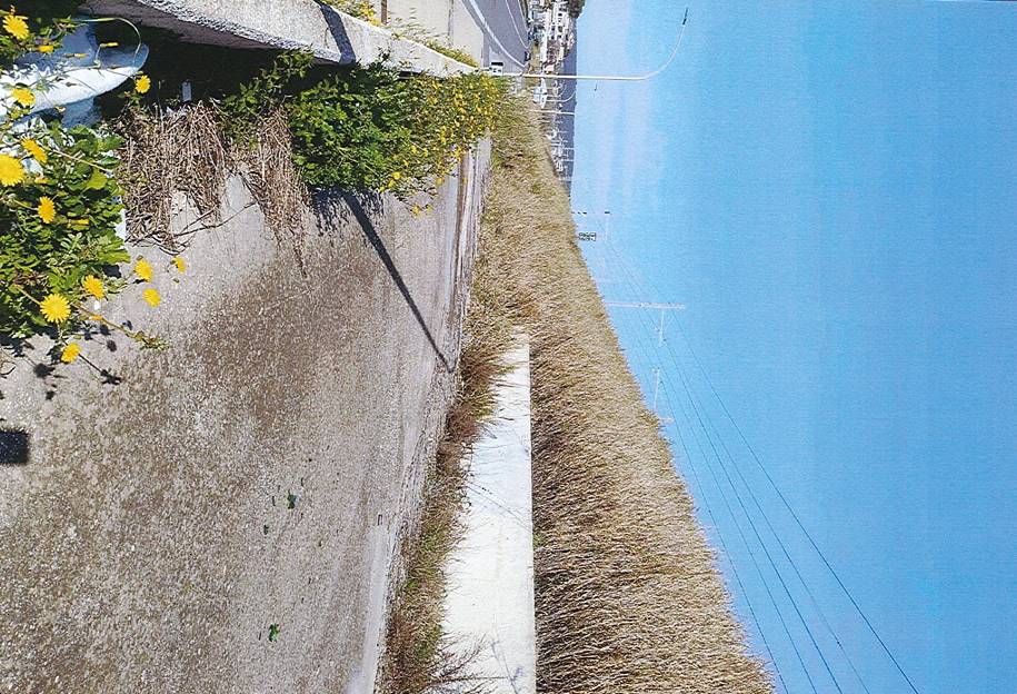 - foto 3