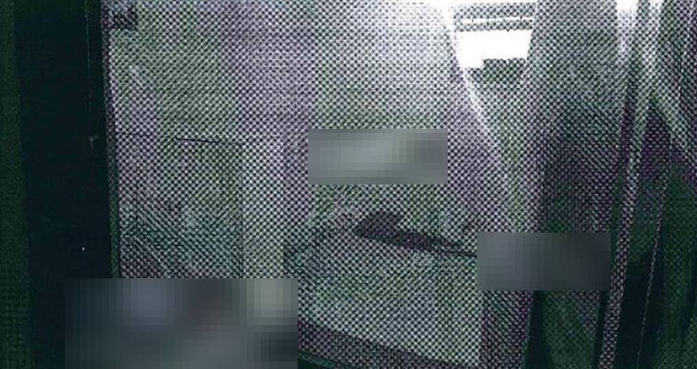  - foto 3