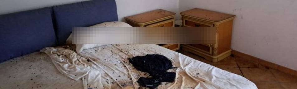  - foto 3