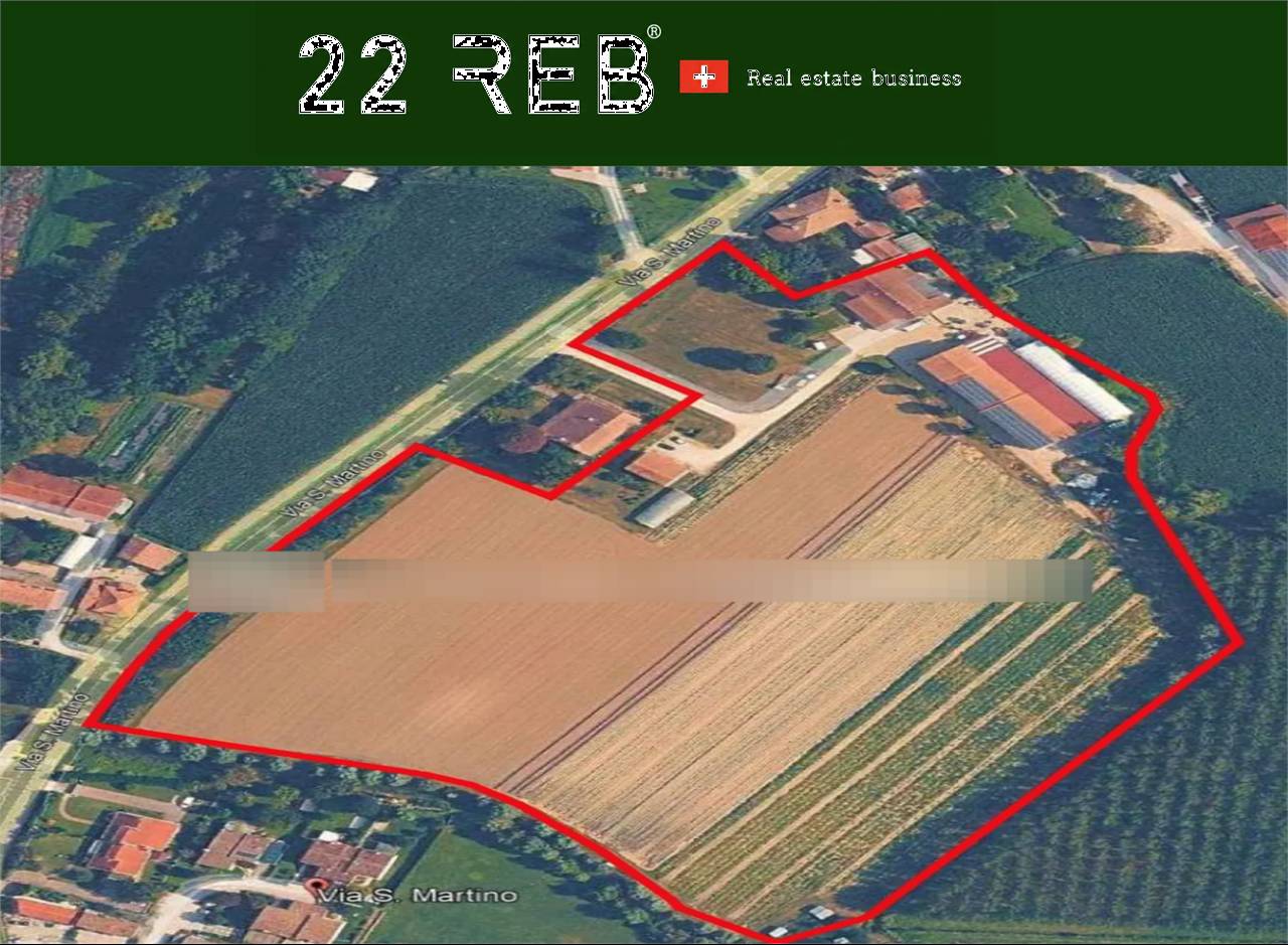 Azienda agricola, Morgano