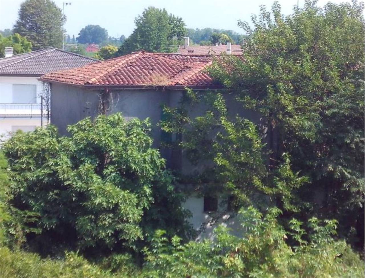  - foto 5