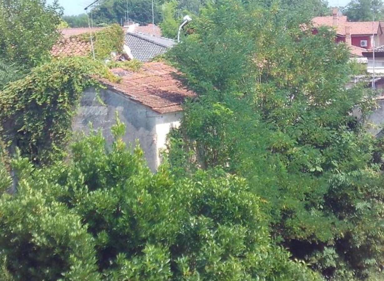  - foto 6