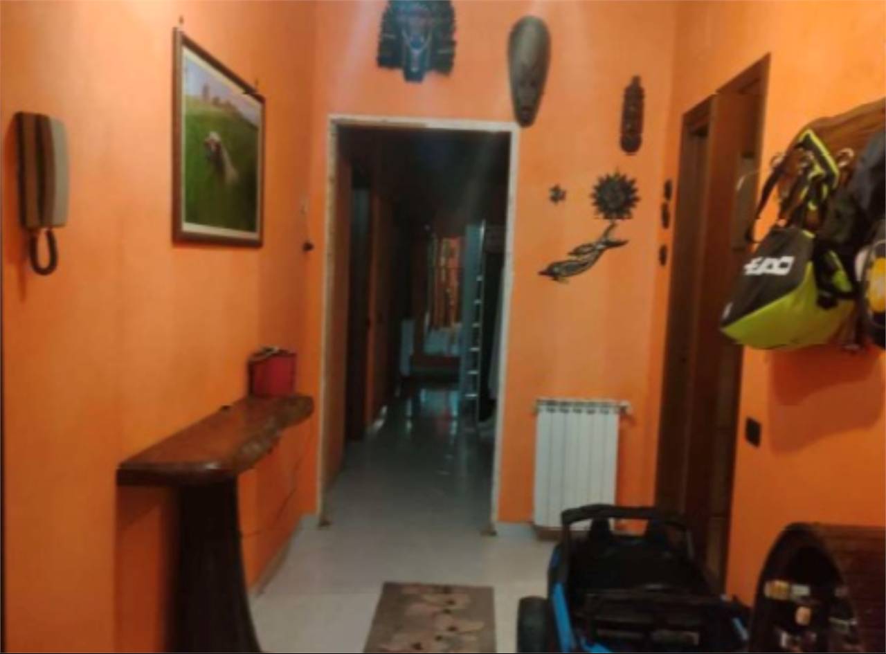  - foto 6