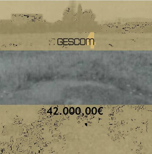  - foto 2