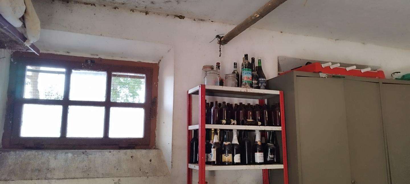  - foto 15