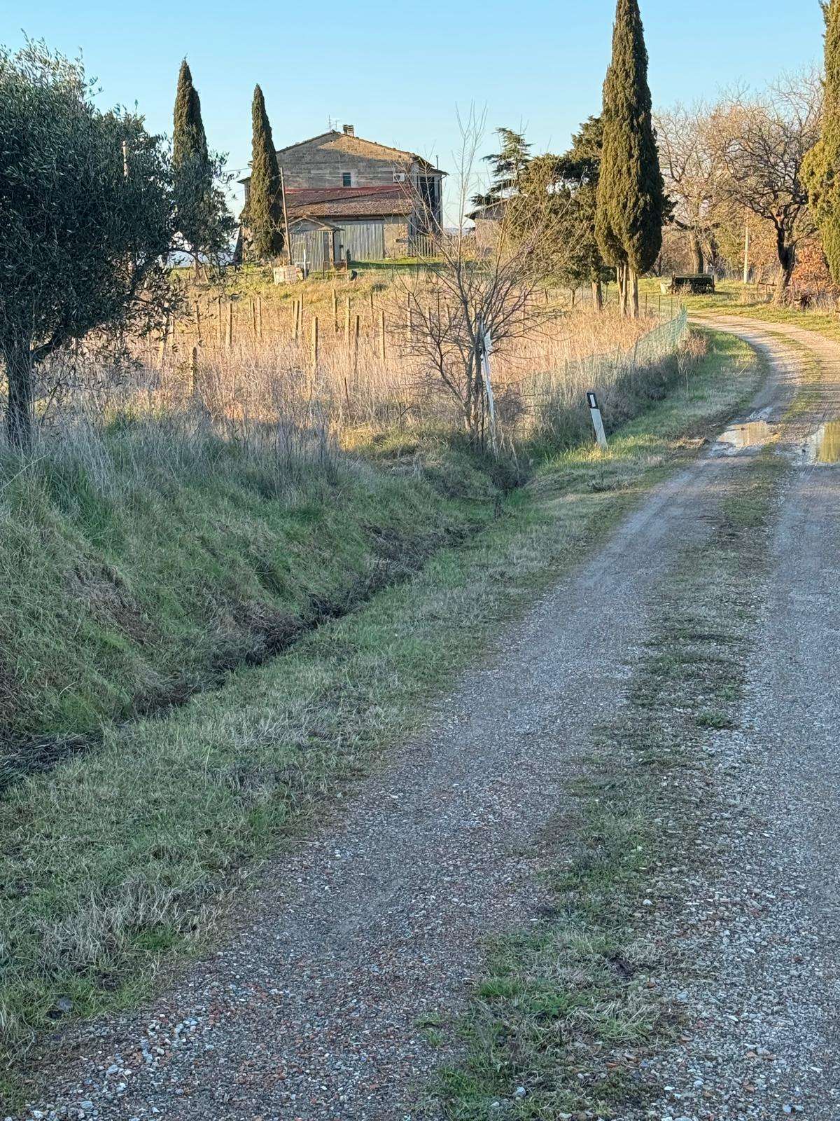 Azienda agricola Cinigiano, WCR+2H, Cinigiano