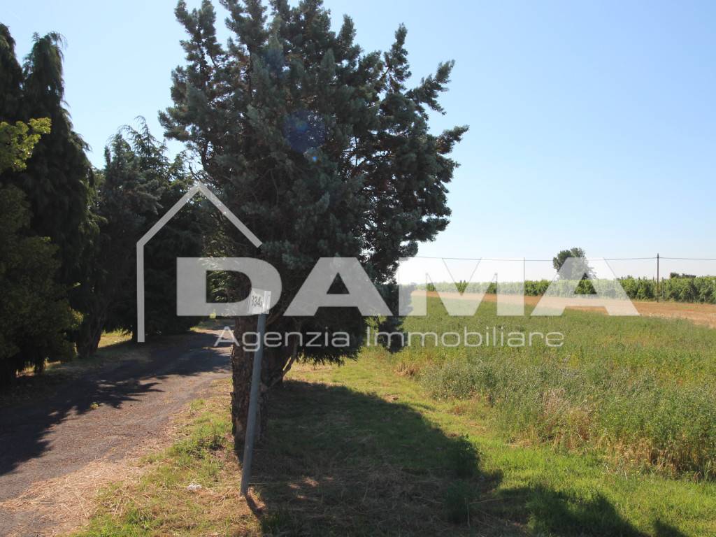 Terreno agricolo, Forlì