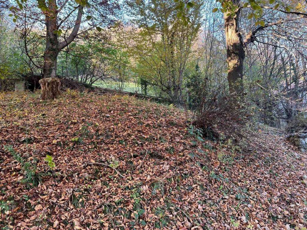  - foto 38
