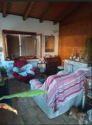  - foto 5