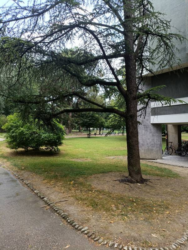  - foto 6