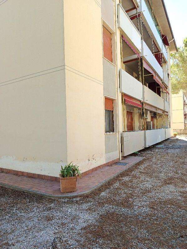  - foto 22