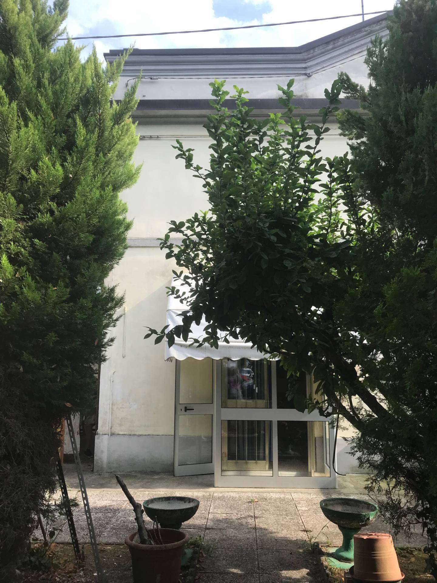  - foto 2