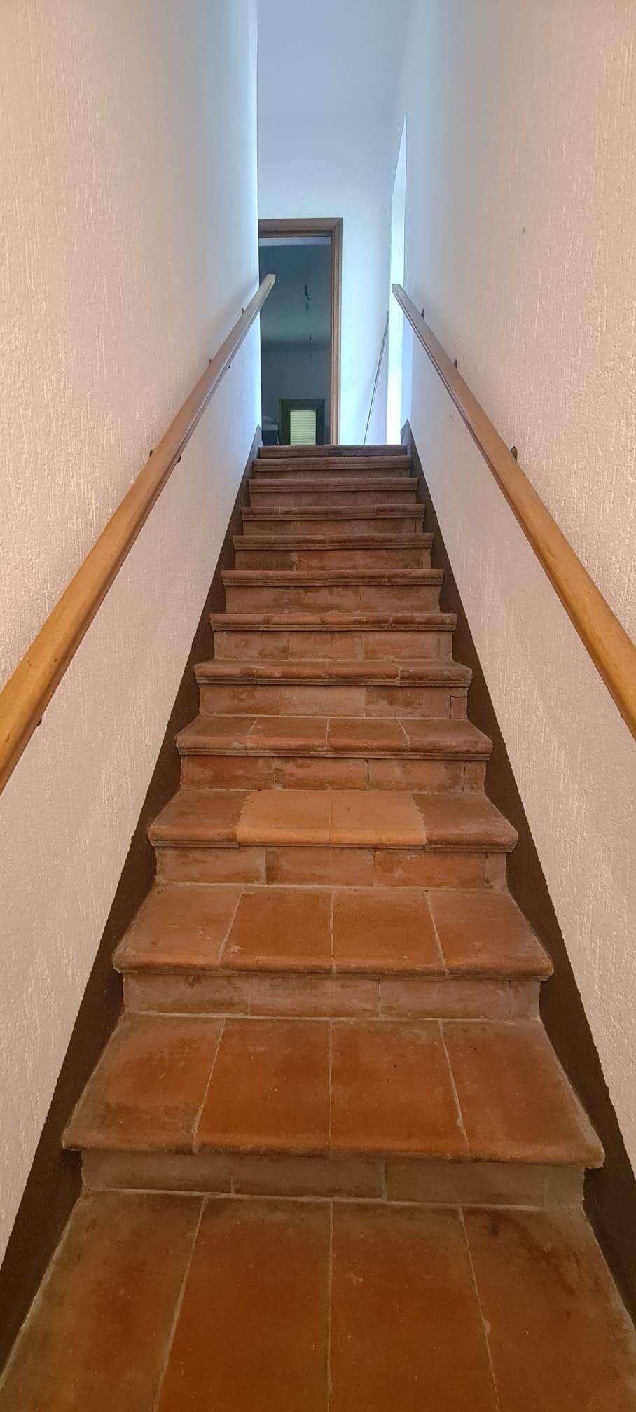  - foto 24