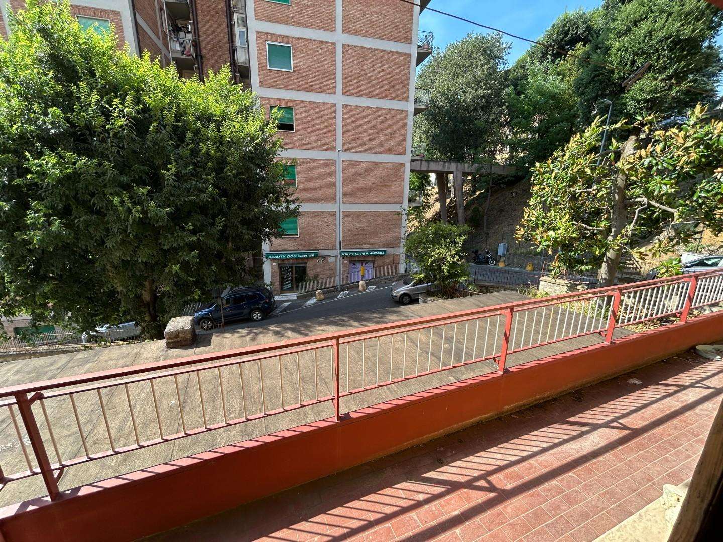 - foto 4