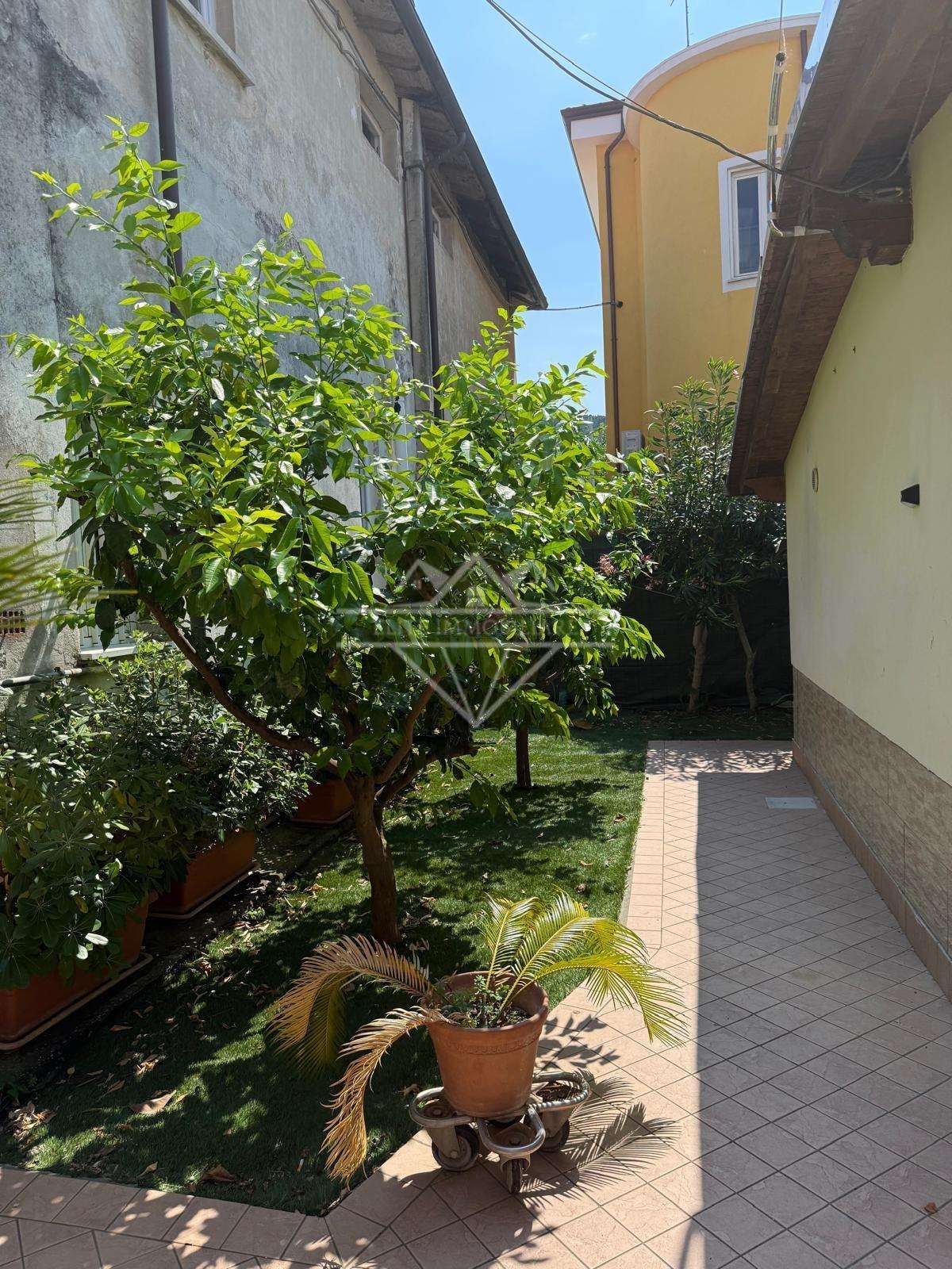  - foto 12