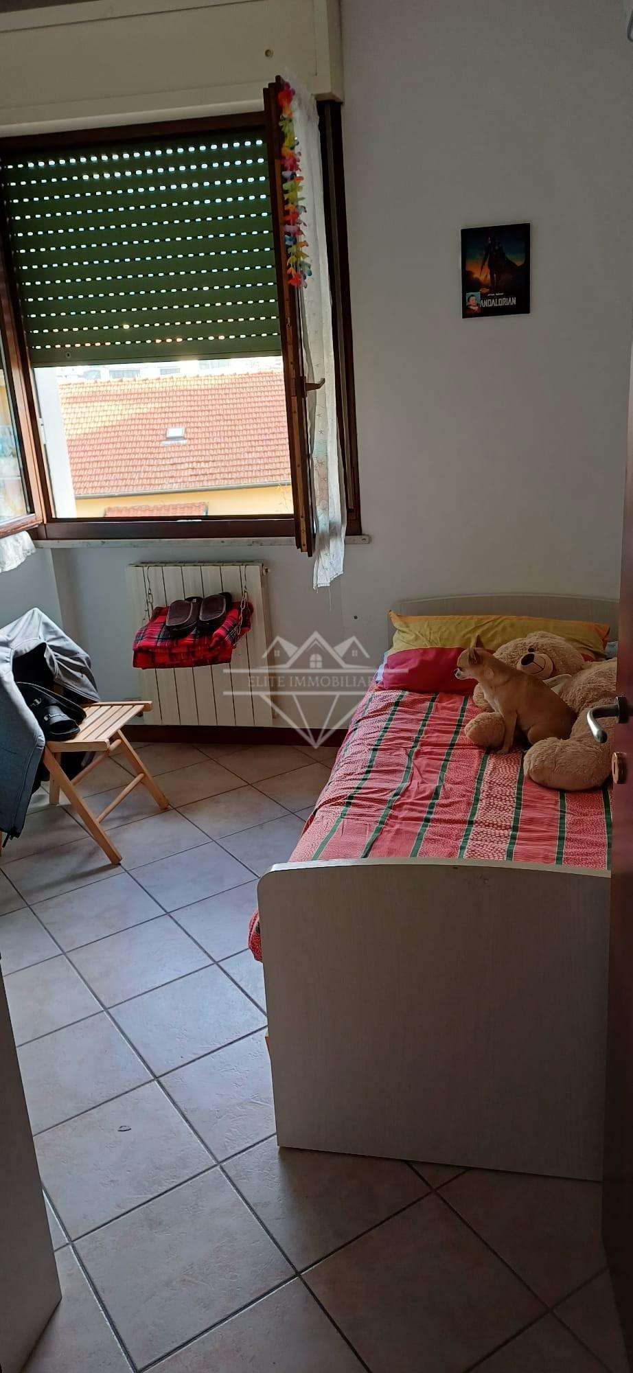  - foto 11