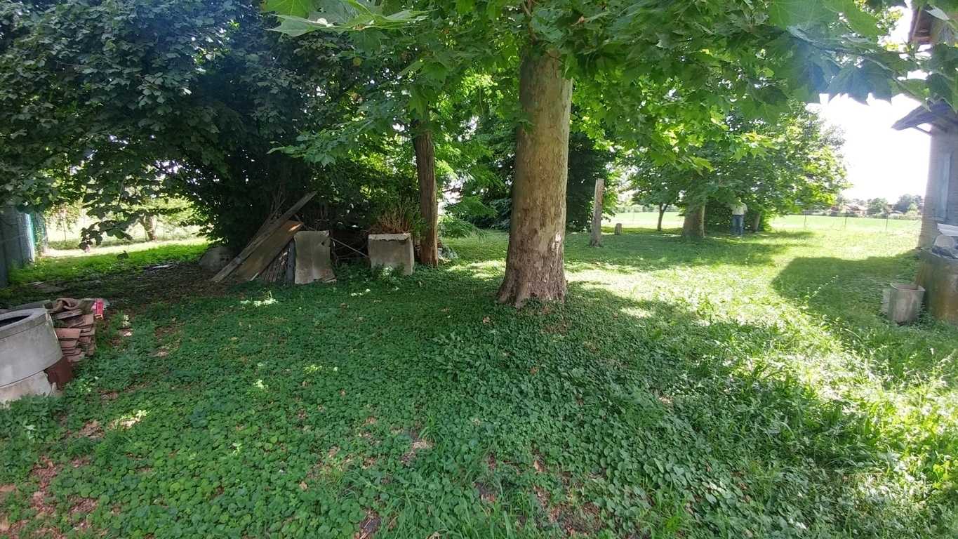  - foto 22