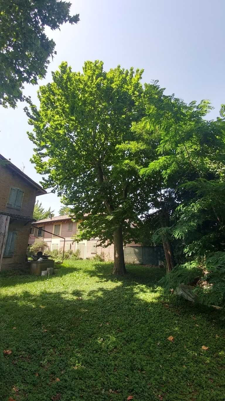  - foto 23
