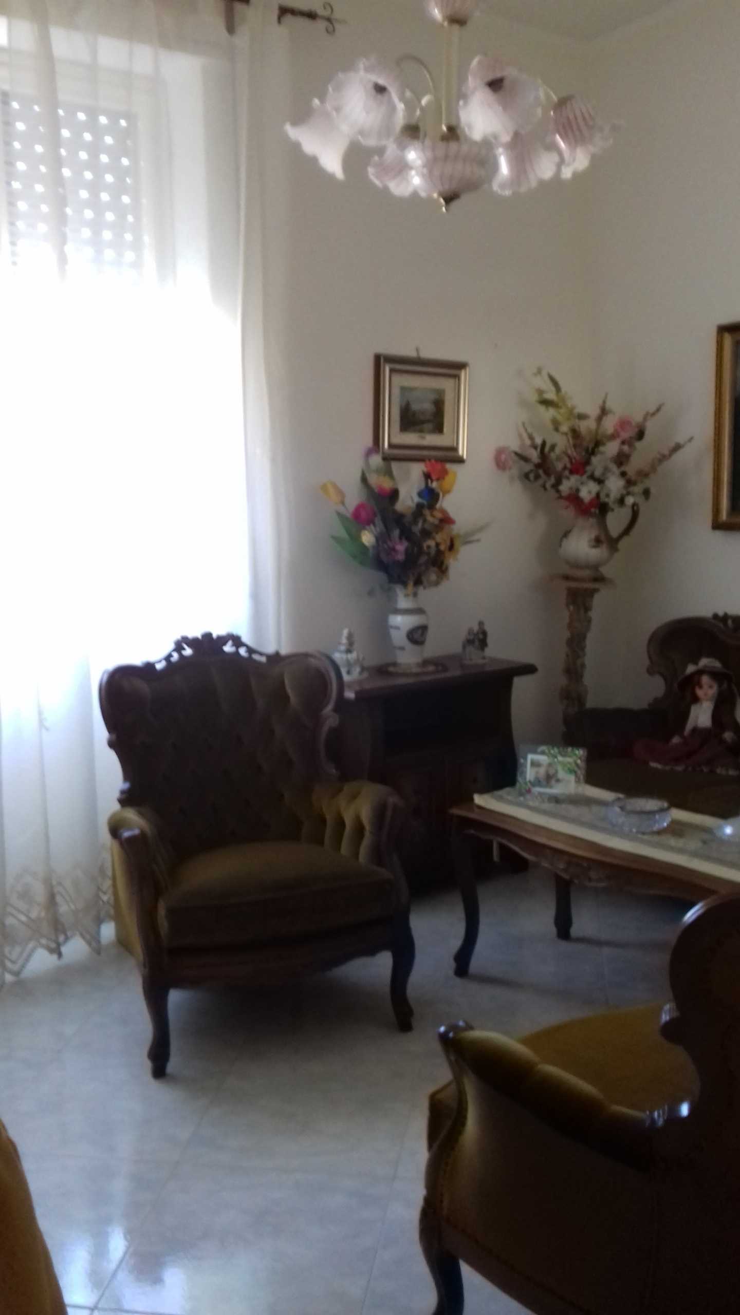  - foto 12