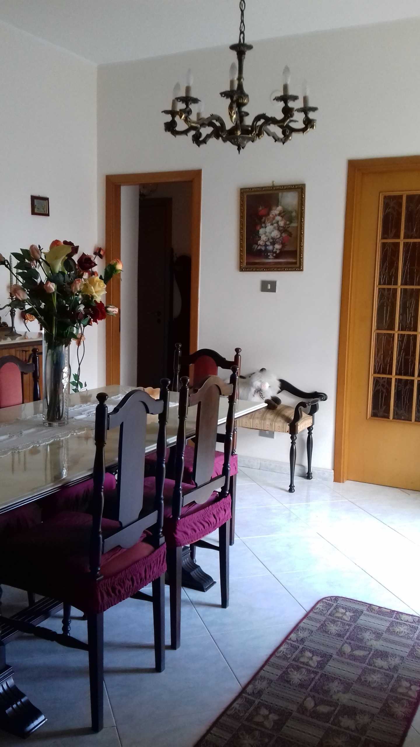  - foto 2