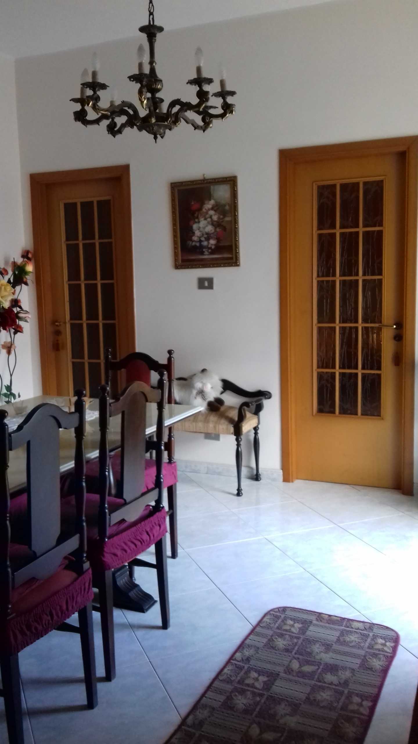  - foto 6