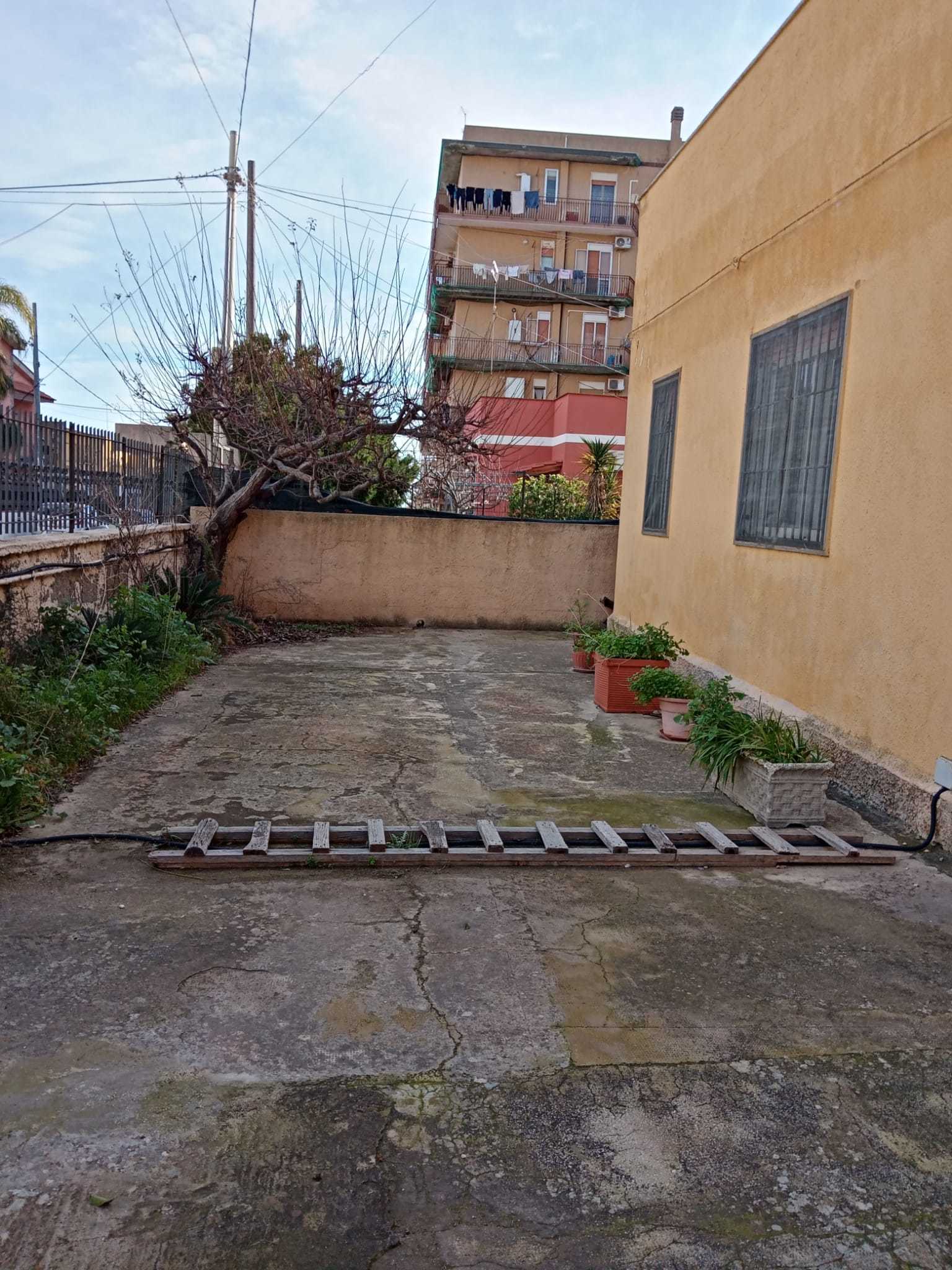 - foto 41