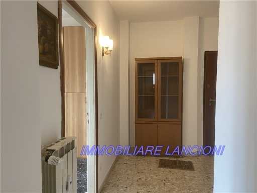  - foto 17