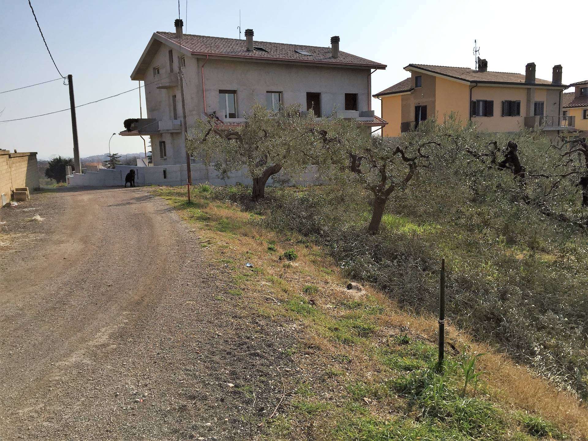 Terreno edificabile C.da San Lorenzo, Vasto
