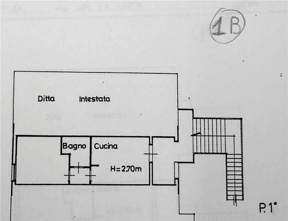  - foto 5