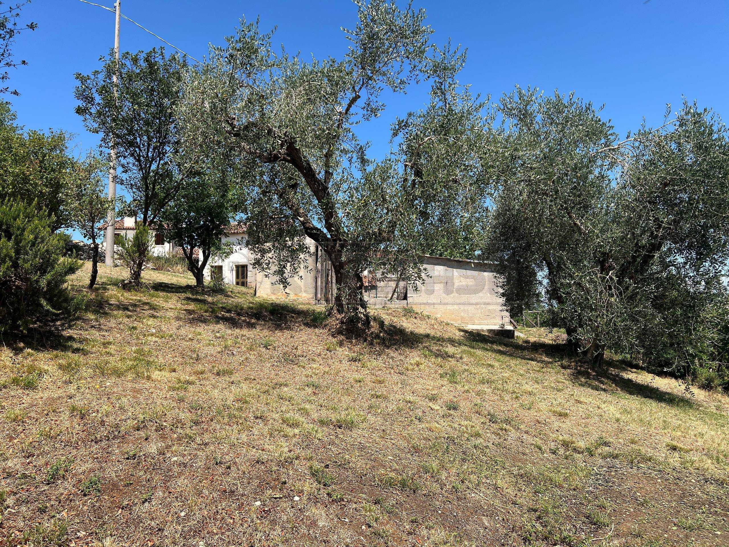  - foto 17