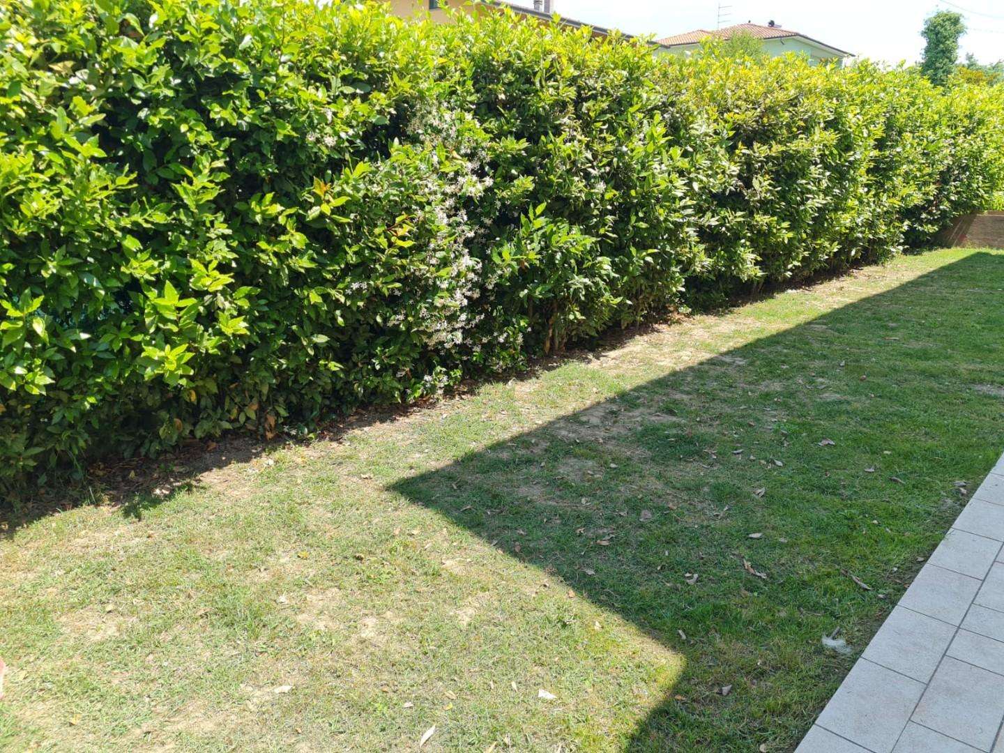  - foto 40