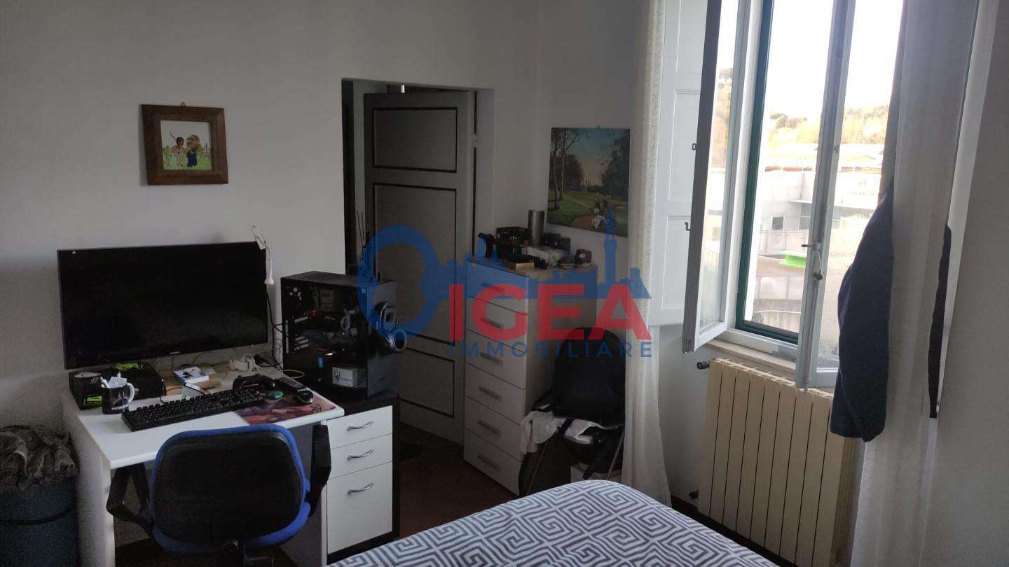  - foto 31