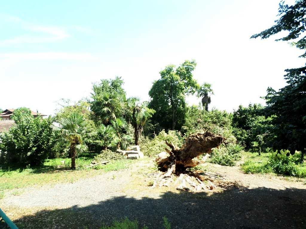  - foto 17