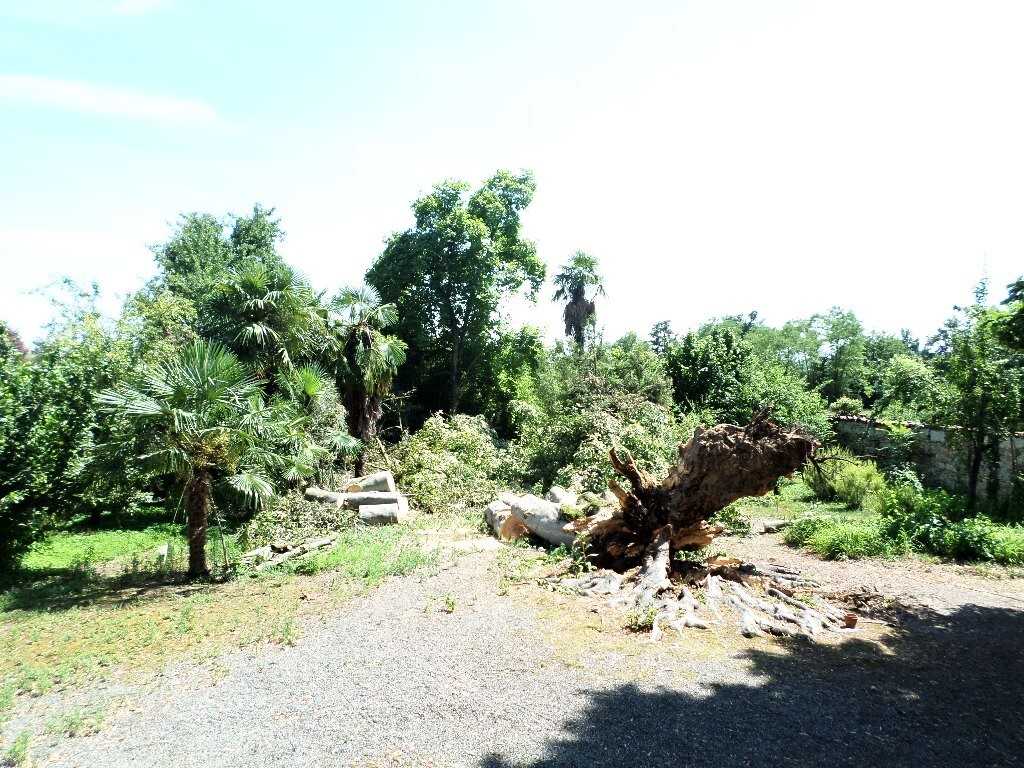  - foto 5