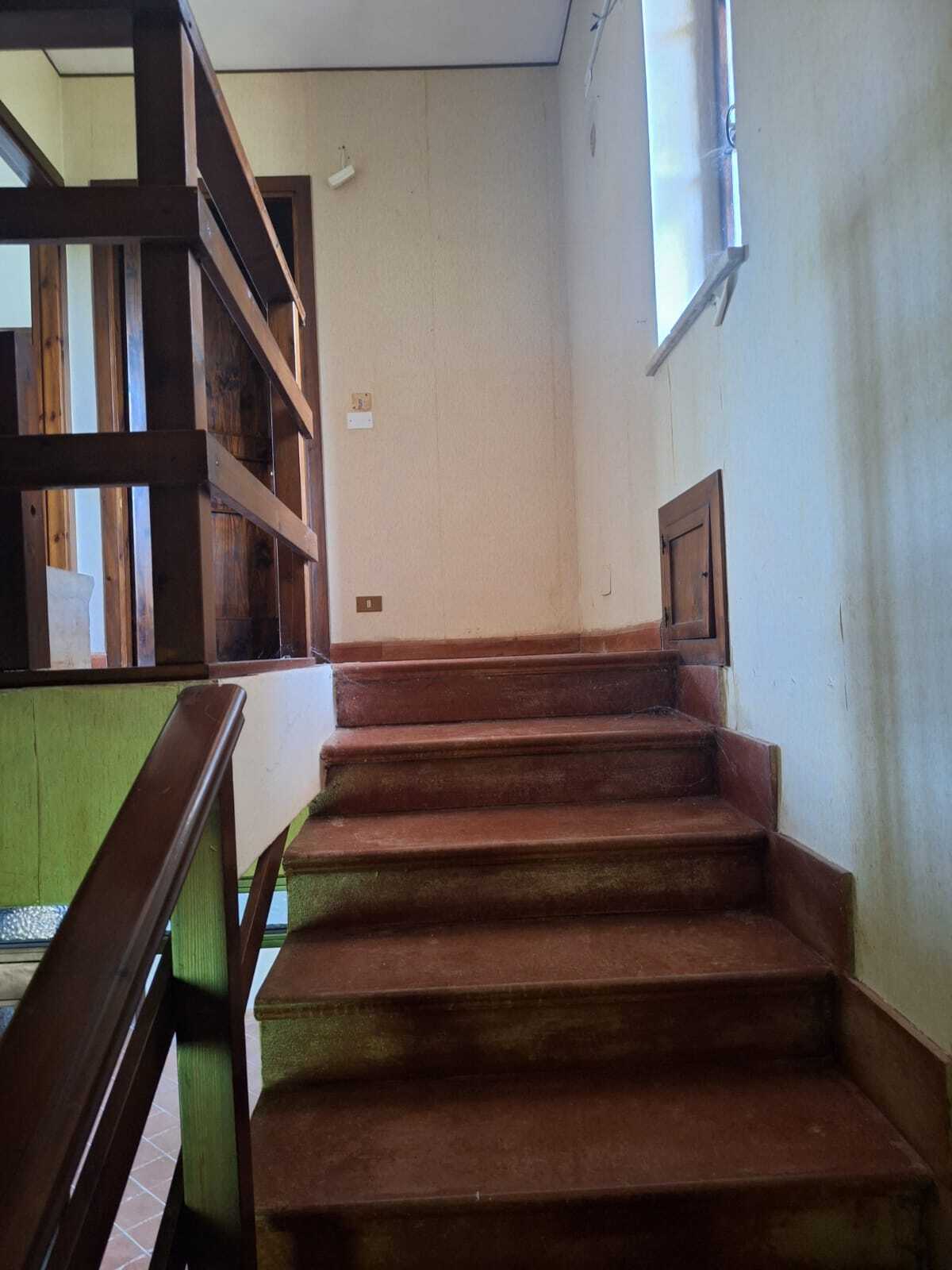  - foto 36