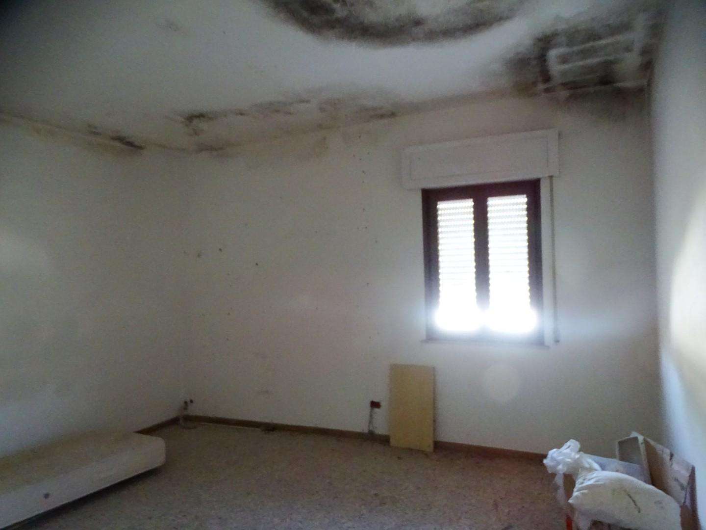  - foto 37