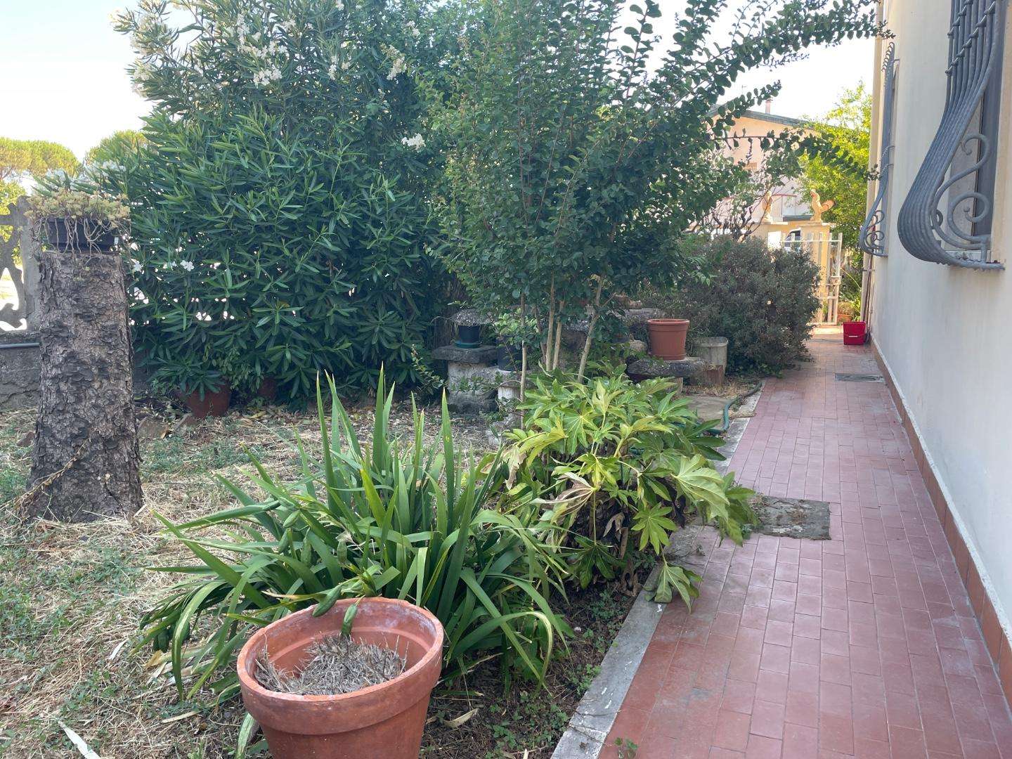  - foto 22