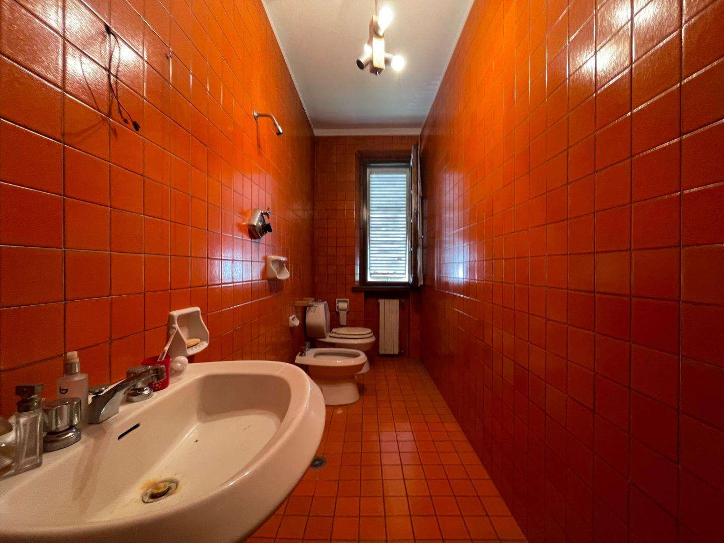  - foto 20