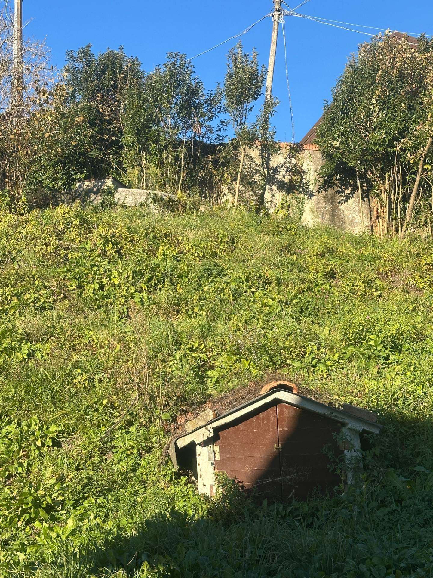  - foto 37